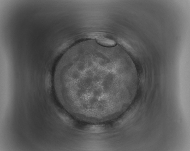 X0000111630303200907241056