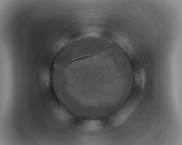 X0000111630304200907241056