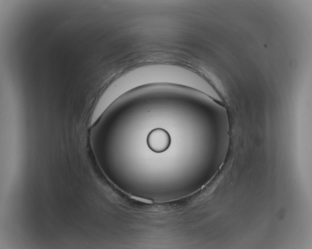 X0000111630305200907241056