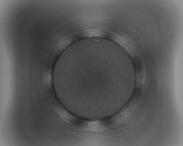 X0000111630309200907241056