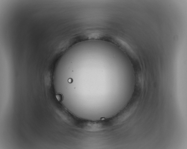 X0000111630311200907241056