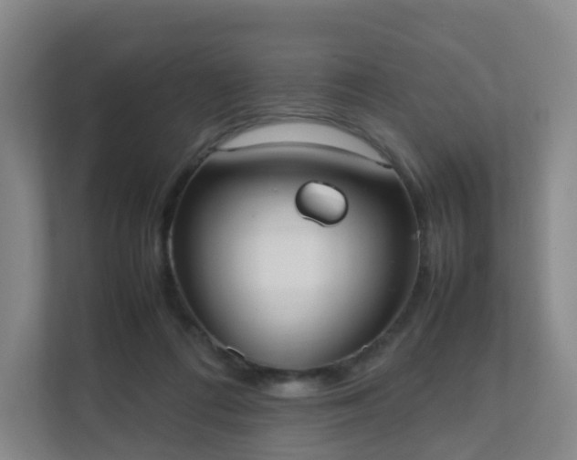 X0000111630312200907241056