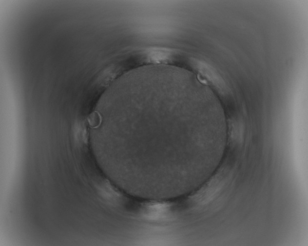 X0000111630313200907241056