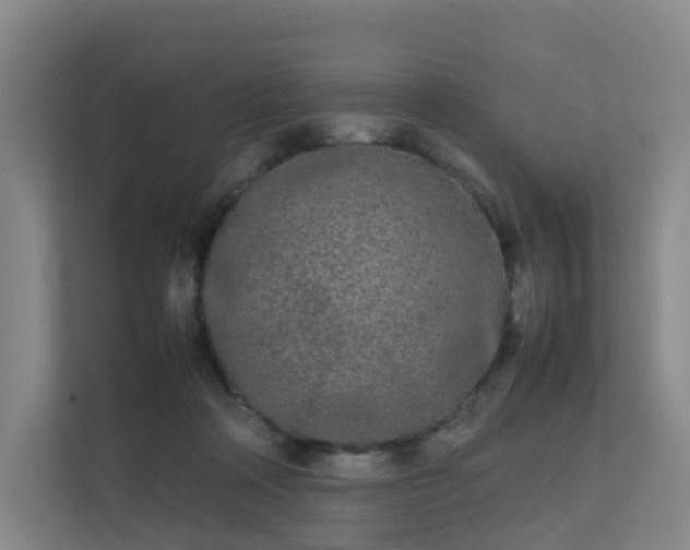 X0000111630314200907241056