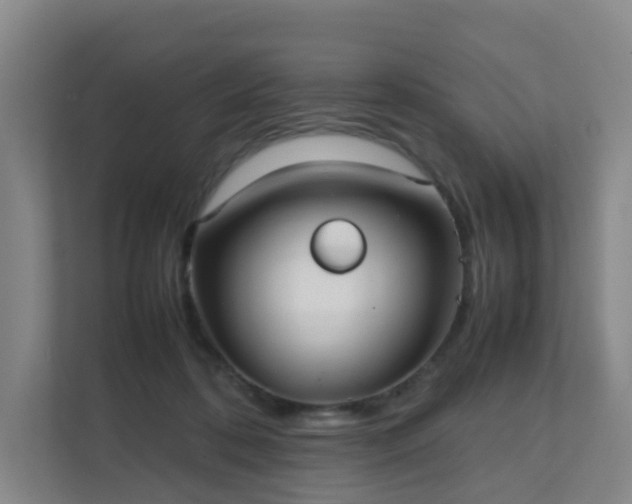 X0000111630316200907241056