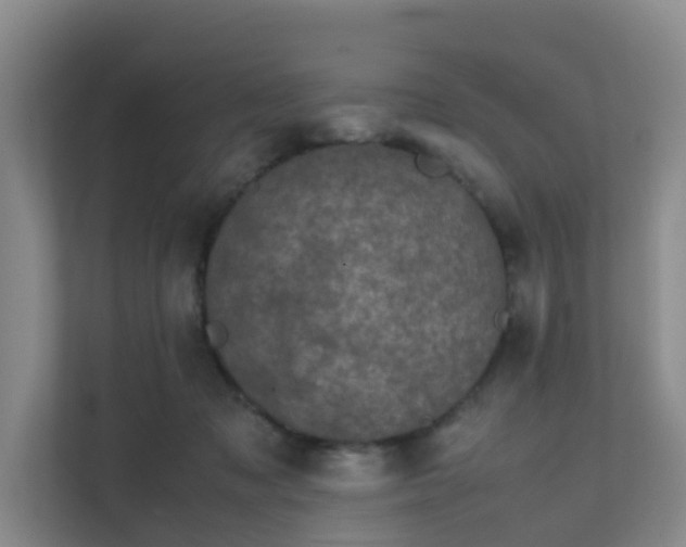 X0000111630317200907241056