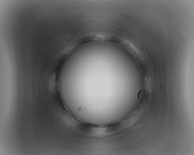 X0000111630318200907241056