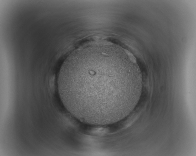 X0000111630319200907241055