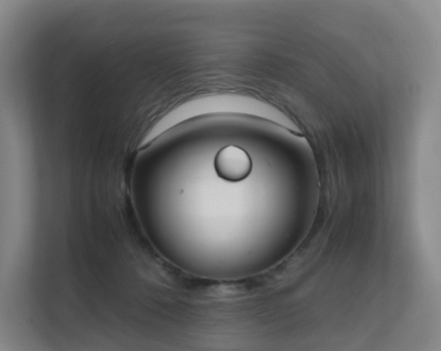 X0000111630320200907241055