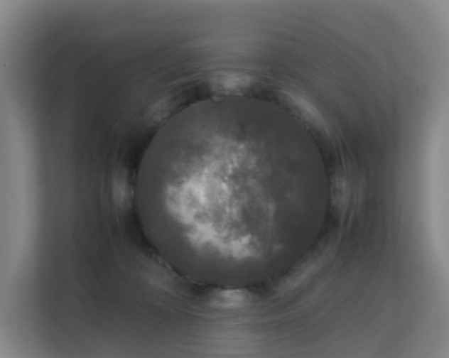 X0000111630324200907241055