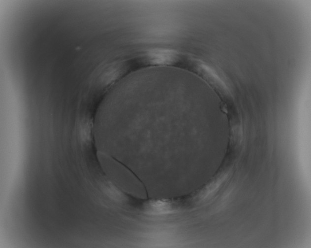 X0000111630325200907241055