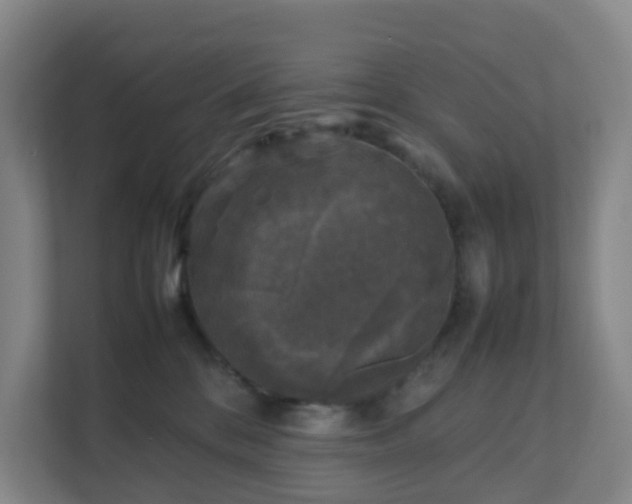 X0000111630328200907241055