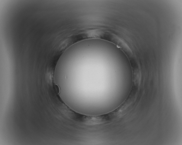 X0000111630329200907241055