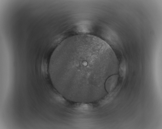 X0000111630330200907241055