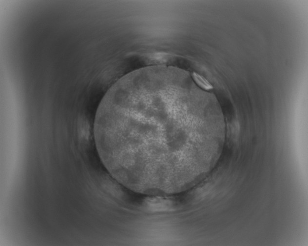 X0000111630331200907241055