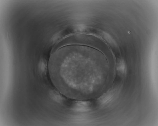 X0000111630332200907241055