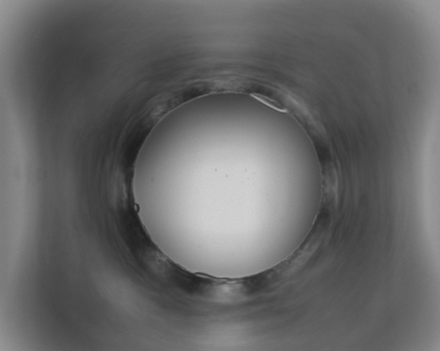 X0000111630333200907241055