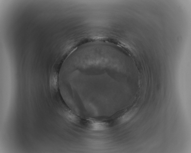 X0000111630336200907241055