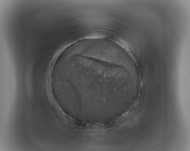 X0000111630337200907241055