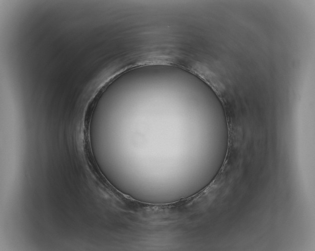 X0000111630338200907241055