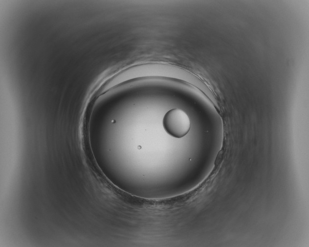 X0000111630340200907241055