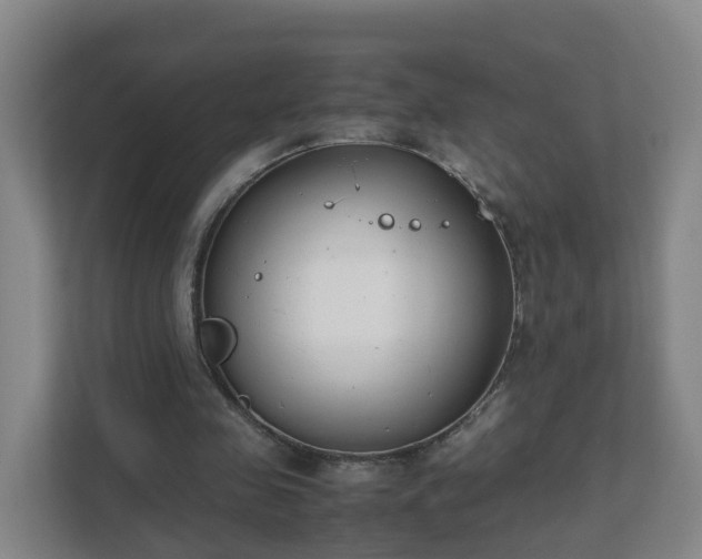 X0000111630341200907241055