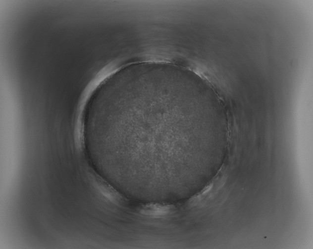 X0000111630343200907241055