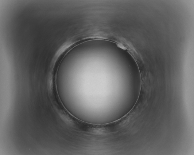 X0000111630344200907241055