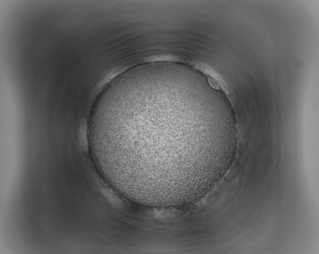 X0000111630345200907241055