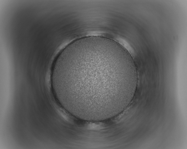 X0000111630346200907241055