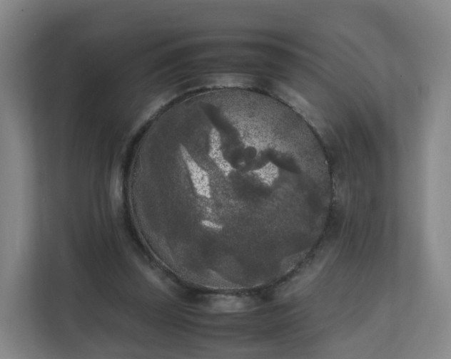 X0000111630347200907241055