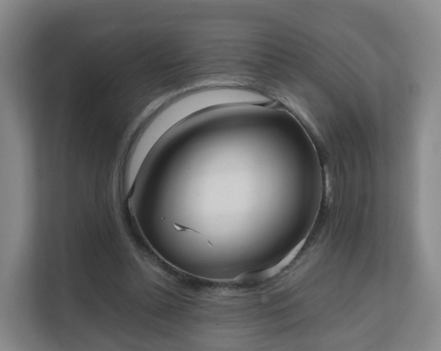 X0000111630348200907241055