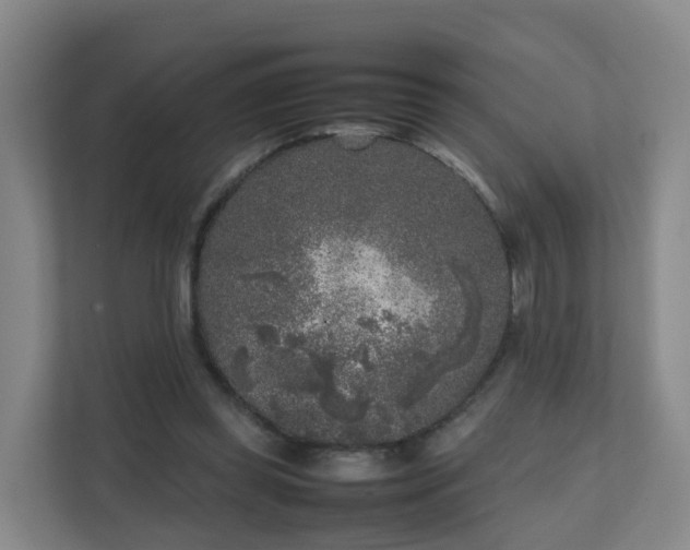 X0000111630349200907241055