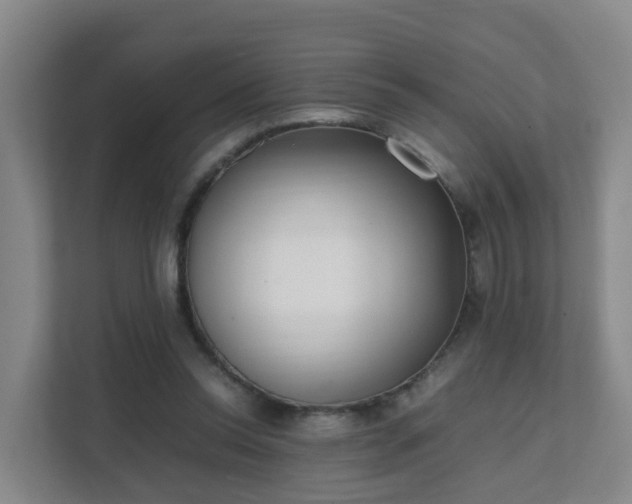 X0000111630350200907241055