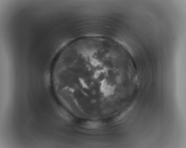 X0000111630351200907241055