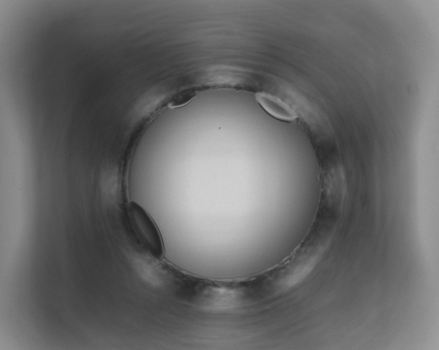 X0000111630352200907241055