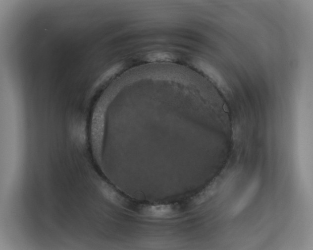 X0000111630353200907241055