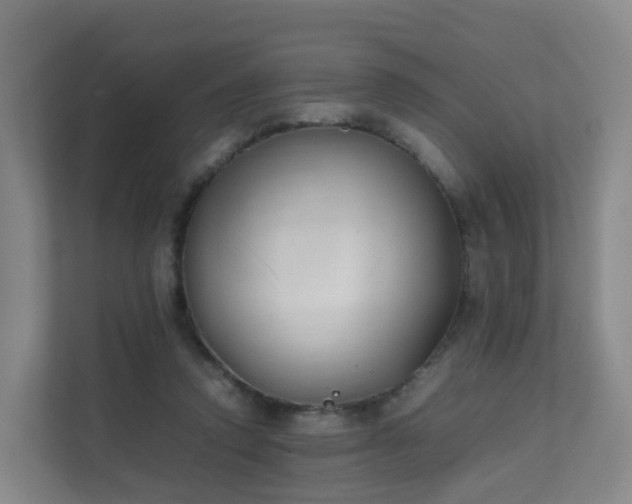 X0000111630354200907241055