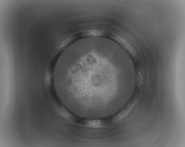 X0000111630355200907241055