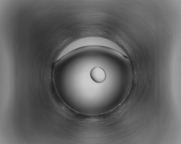 X0000111630356200907241055