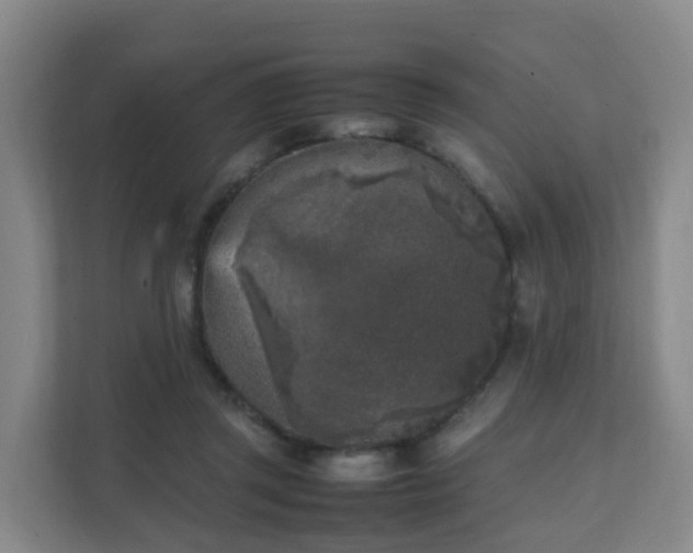 X0000111630357200907241055