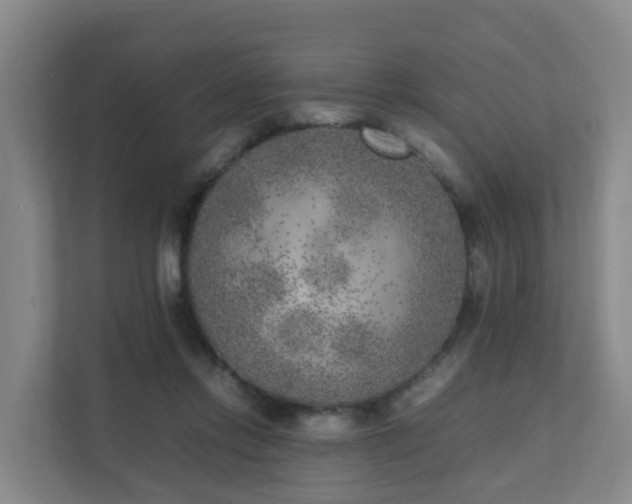 X0000111630358200907241055