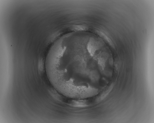 X0000111630359200907241055