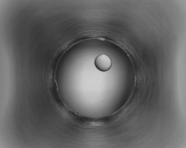 X0000111630360200907241055