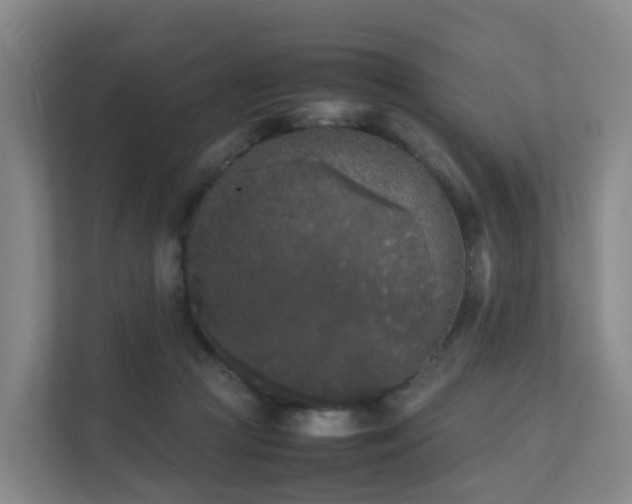 X0000111630361200907241055