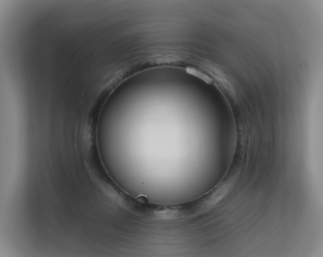 X0000111630362200907241055