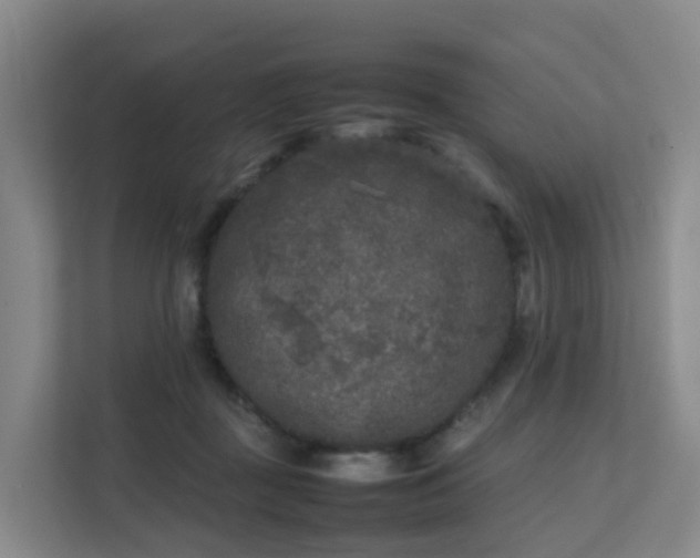 X0000111630363200907241055