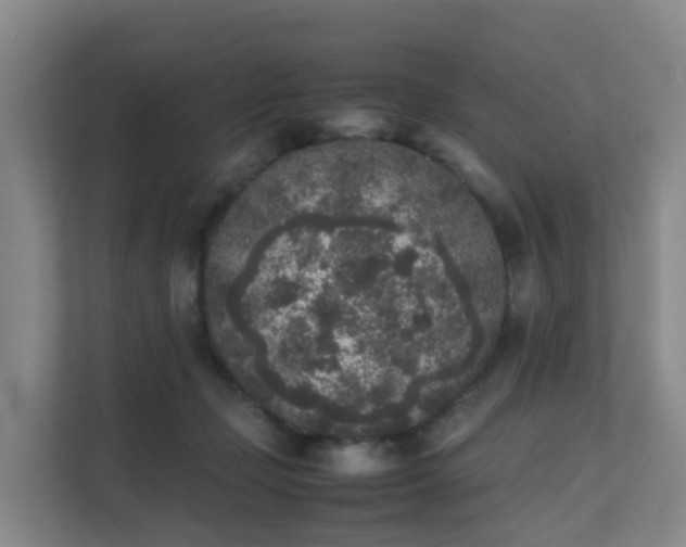 X0000111630365200907241055