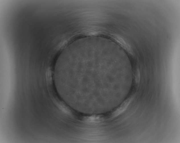 X0000111630366200907241055