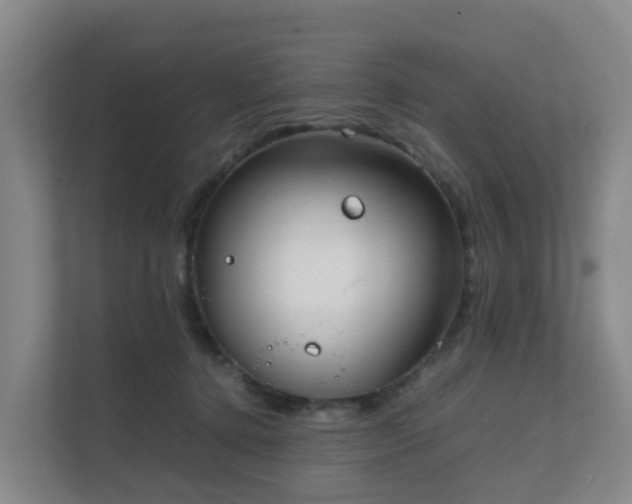 X0000111630368200907241055